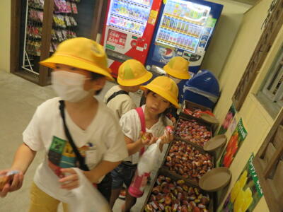 球根を選んだよ！